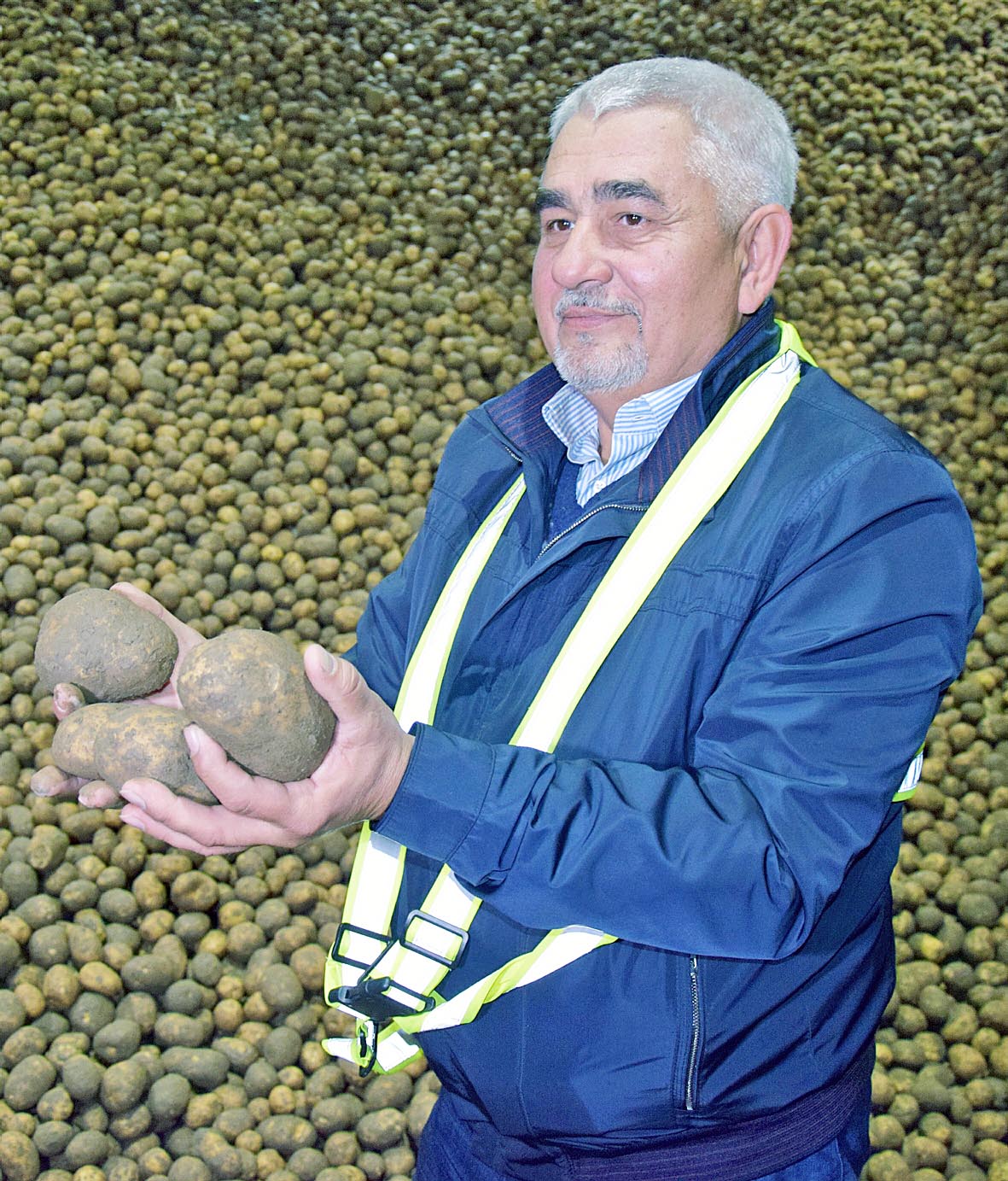 Керівник кластеру «Картопля» «Контінентал Фармерз Груп» Орест Кравчук: «Компанія радіє цьогорічному врожаю картоплі». Фото надав автор